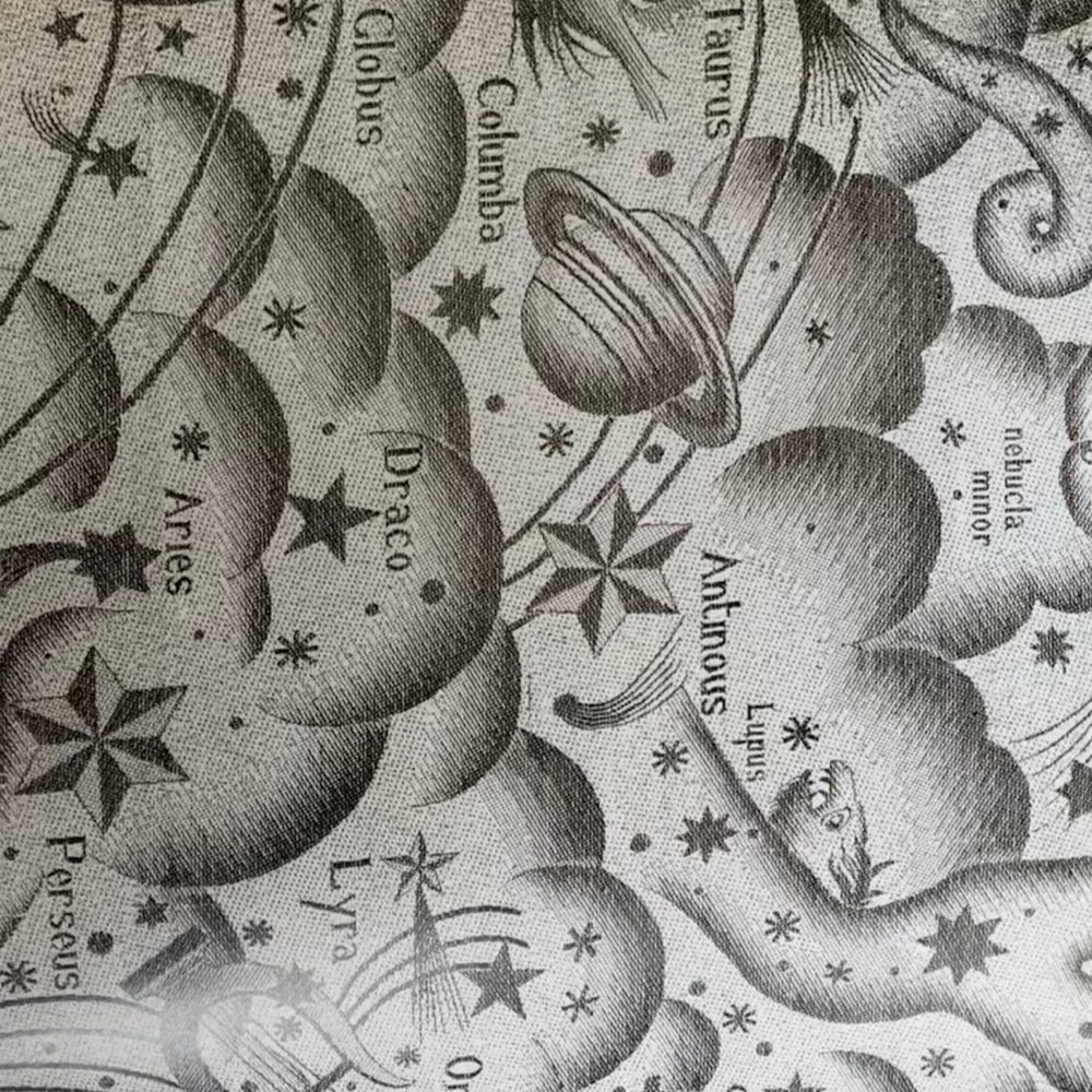 Meet your Posher, Dawn